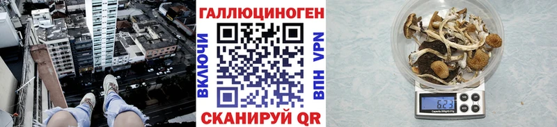 Галлюциногенные грибы GOLDEN TEACHER  где купить наркоту  Новотитаровская 